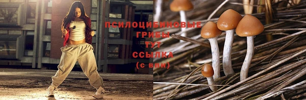 скорость Инта