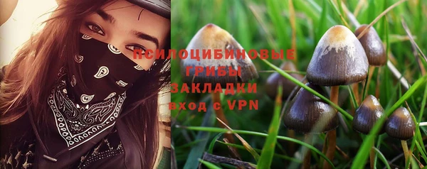 скорость Инта