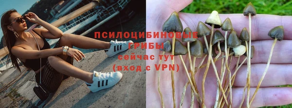 герыч Иннополис