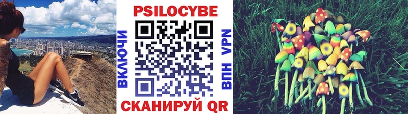 Купить Катайск Псилоцибиновые грибы ЛСД