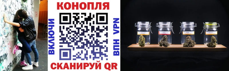 Каннабис семена  Купить закладки  Катайск 